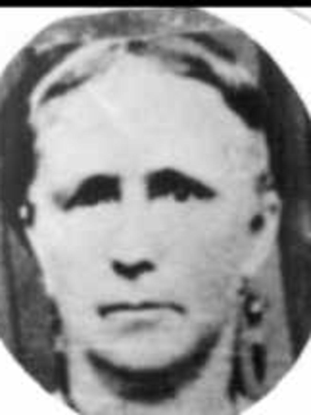 Phoebe Melissa Knight (1804 - 1858) Profile